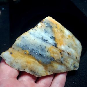 Golden Griffin Slab Q