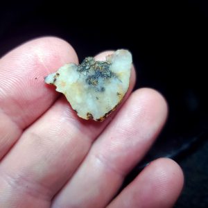 Golden Griffin Slab S