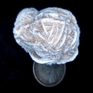 Desert Rose 11 grams