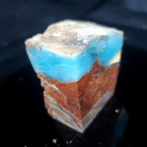 Dayna Blue Specimen P