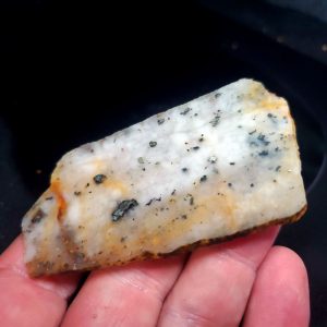 Golden Griffin Slab B