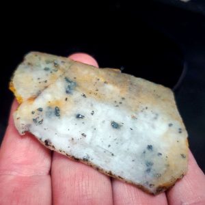 Golden Griffin Slab F
