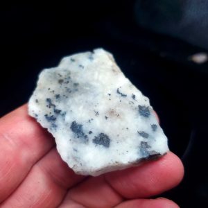 Golden Griffin Slab G