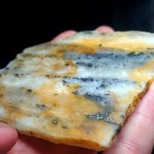 Golden Griffin Slab K