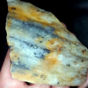 Golden Griffin Slab L