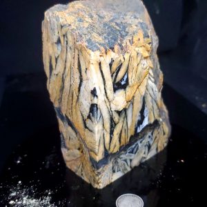 Pinolite - Specimen U