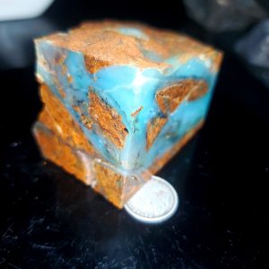 Dayna Blue Specimen F