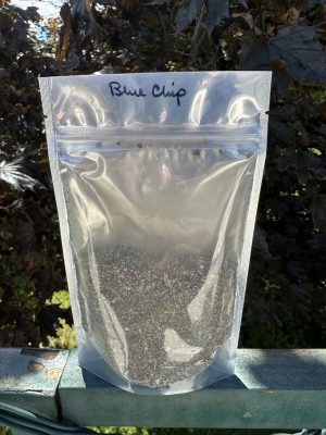 Blue Chip mine ore concentrates 1lbs