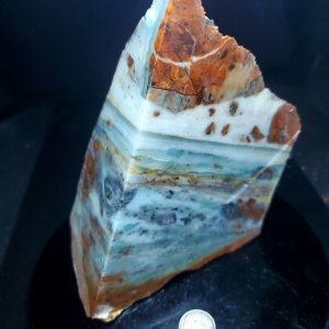 Special Specimen Rock C