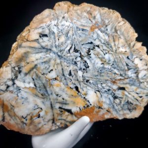 Pinolite slab S