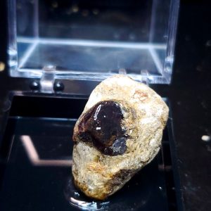 Garnet perky box specimen E