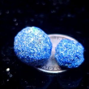 2 blueberries 2g