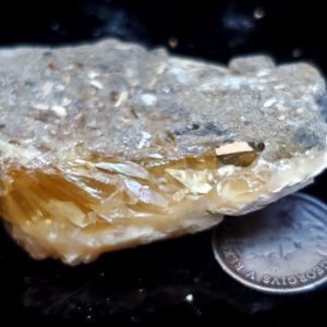 Fort Drum specimen 2" across