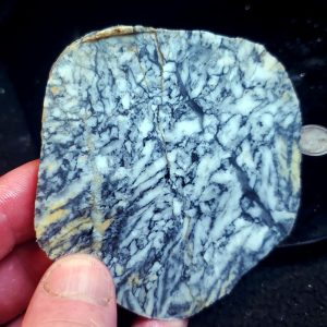 Pinolite slab N