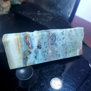 Special Specimen Rock S