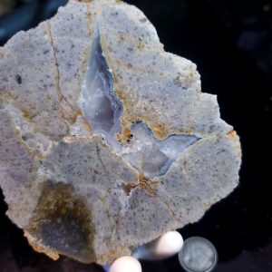 Thunder Egg - specimen from Haida Gwaii (B)