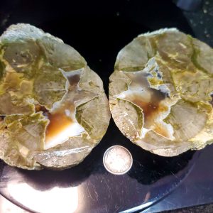 Thunder Egg - Pair A