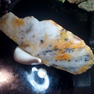 Golden Griffin Slab A