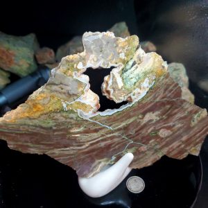 Black lapidary slab end cap 6.5" across