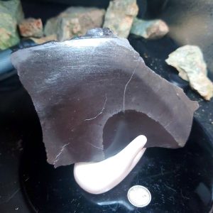 Black lapidary slab 4" across