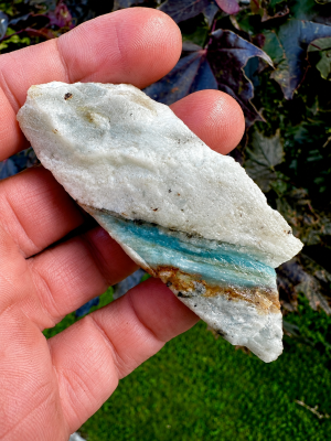 Dan's Pick Ocean Picture Stone Rough A
