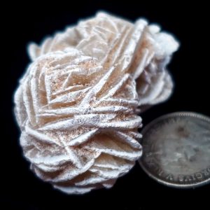 Desert Rose 14g