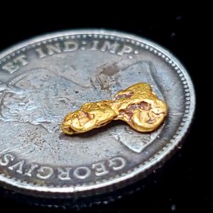 Gold flake .2g