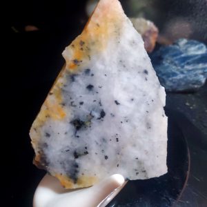 Golden Griffin Slab J