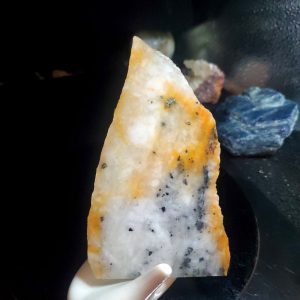 Golden Griffin Slab L