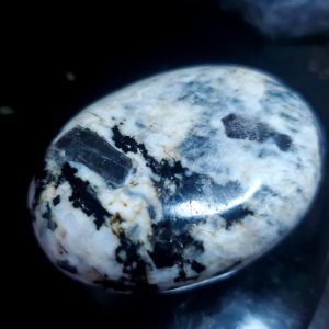 Sapphire Palm Stone