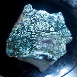 Dallasite - Specimen Rock I