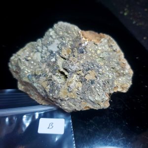 Opal With Flash from Video July 2026 Specimen B