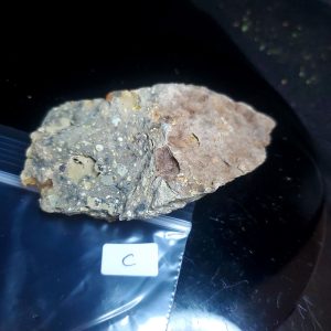 Opal With Flash from Video July 2026 Specimen C
