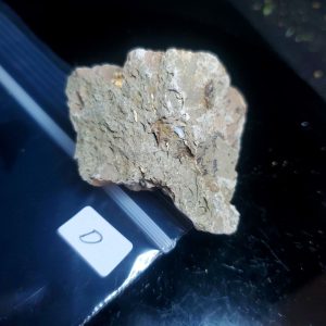 Opal With Flash from Video July 2026 Specimen D
