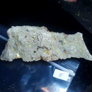 Opal With Flash from Video July 2026 Specimen E