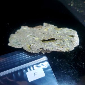 Opal With Flash from Video July 2026 Specimen F