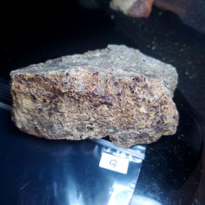 Opal With Flash from Video July 2026 Specimen G