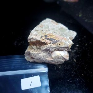 Opal With Flash from Video July 2026 Specimen I