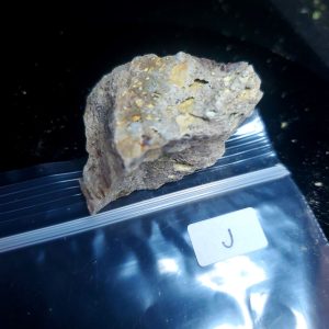 Opal With Flash from Video July 2026 Specimen J