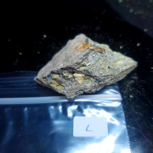 Opal With Flash from Video July 2026 Specimen L