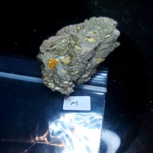 Opal With Flash from Video July 2026 Specimen M