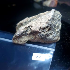 Opal With Flash from Video July 2026 Specimen N
