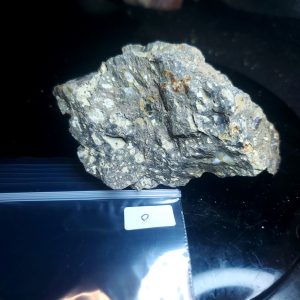 Opal With Flash from Video July 2026 Specimen O