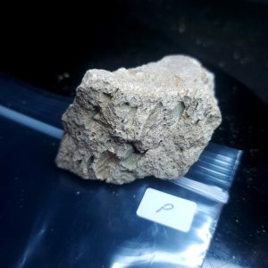 Opal With Flash from Video July 2026 Specimen P
