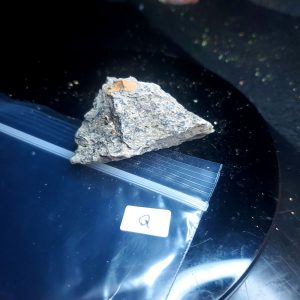 Opal With Flash from Video July 2026 Specimen Q