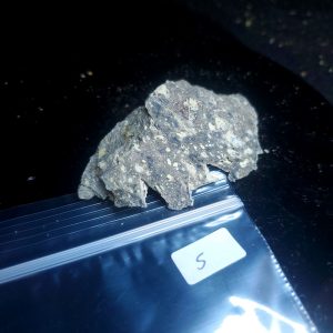 Opal With Flash from Video July 2026 Specimen S