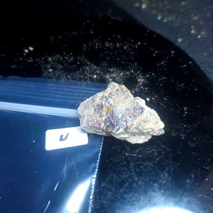 Opal With Flash from Video July 2026 Specimen U