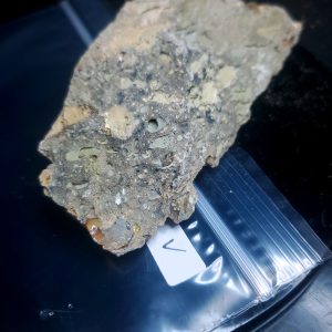 Opal With Flash from Video July 2026 Specimen V