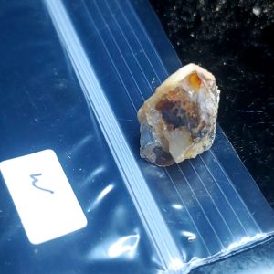Opal With Flash from Video July 2026 Specimen W