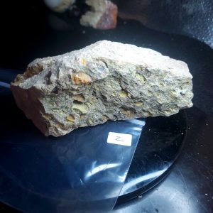 Opal With Flash from Video July 2026 Specimen Z